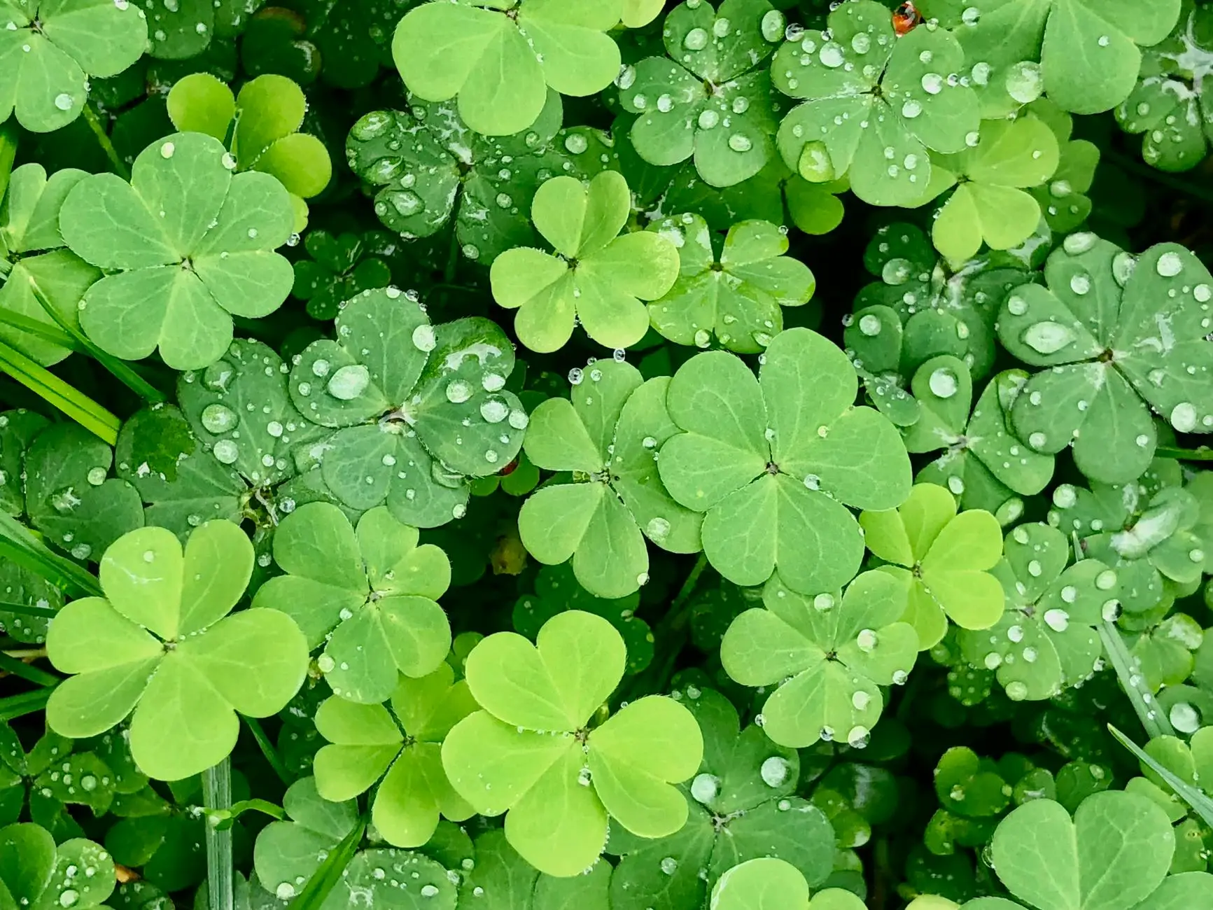 Increase Your Luck by Building Success Habits